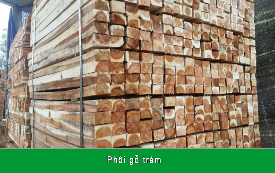 Dây chuyền sản xuất ván ghép thanh