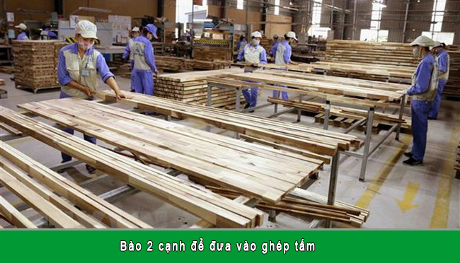 Dây chuyền sản xuất ván ghép thanh