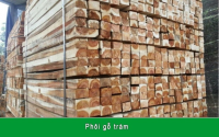 DÂY CHUYỀN SẢN XUẤT VÁN GHÉP THANH 694