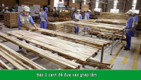 DÂY CHUYỀN SẢN XUẤT VÁN GHÉP THANH 703