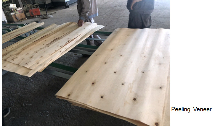 MÁY BÓC VÁNG KHÔNG TẤM 5183