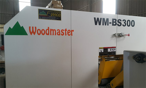 MÁY CƯA LẠNG MỎNG TỰ ĐỘNG WOODMASTER 150